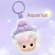 Pop Mart Hacipupu Constellation Vinyl Plush Pendant Aquarius