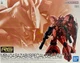 Bandai 1/144 RG MSN-04 Sazabi (Special Coating) Mobile Suit Gundam Model Kit