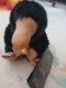 Noble Collection"Fantastic Beasts"20cm "Niffler" Soft/Plush Toy - NWT