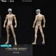 VTOYS X BMS 1:12 Male Flexible 6" Model Doll Action Figure Jointed Body w/ Head