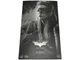 Hot Toys MMS427 Catwoman 1/6 Figure The Dark Knight Trilogy DC Collectible Batmn