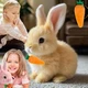 XFYVIKR Bunny Toy - Easter My Realistic Bunny Toy, Life like Robotic Bunny，Bunny