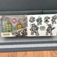 NECA SDCC 2024  Exclusive TMNT FIRST TURTLES EASTMAN & LAIRD'S 40th ANNIVERSARY