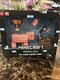 Minecraft Diamond Level Pig Cerdo Cochon Porco Action Figure Toy Set Mattel New
