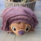 Disney's TUK TUK from Raya And The Last Dragon 11" Fold'n Roll 2 in 1 Plush Toy