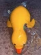 Giant Duck Squishy🐥