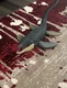 Mosasaurus Mattel FNG24 Jurassic World&nbsp;