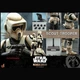 Hot Toys TMS016 Star Wars Scout Trooper 1/6 Scale Limited Edition Action Figure