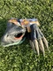 NEW Jurassic World Dominion Therizinosaurus Dinosaur  Mask And Claws Cosplay Kit