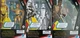 Set OF 3 Action Figures Star Wars Galaxy of Adventures 5" Rise of Skywalker Toys