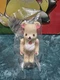 Bearbrick 100% Be@rbrick Series 45 Cute Tan Rilakkuma Secret Medicom