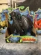 Spin Master How to Train Your Dragon Toothless Action Figure New In Box