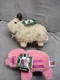 GOAT 2022 Minecraft & Pig  10" Plush Mojang Mattel Stuffed Animal Lot Of 2