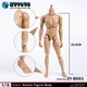 1/6 Scale ZYTOYS B001 Male Body Normal Shoulder Soldier Action Figure Doll Model