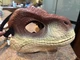 Jurassic World REBIRTH Velociraptor Dinosaur Hard Plastic Mask