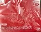 PREMIUM BANDAI RG 1/144 MSN-04 SAZABI clear color New US Seller
