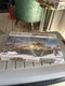 Tamiya 35252 1:35 German King Tiger Ardennes Front