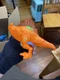 Zuru Smashers Dino Light Up Spinosaurus 5.5" H Series 3 Dinosaur Pieces Parts