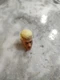 AEW Cody Rhodes Figure Head B Supreme Collection Unrivaled Ultimate Elite