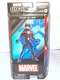 Hasbro Marvel Legends Future Ant-Man 6" Action Figure-NRFP