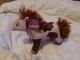 DREAMWORKS SPIRIT UNTAMED BOOMERANG HORSE 8" Plush NEW