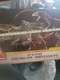 Brand New Mattel Jurassic World Dominion Epic Battle Pack Target Exclusive Set