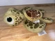 Disney Store Moana Baby Sea Turtle  Plush Stuffed Animal Toy 9&rdquo; Long