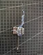 Mjolnir Figure 1/6 Hot Toys Mighty Thor MMS663 Thor Love And Thunder Accessories