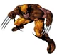 Marvel Legends WOLVERINE Wave 5 Hasbro Kenner 3.75" Action Figure