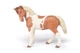 PAPO - Pinto Mare (Horse) Realistic Toy Figurine (51094)