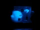 Nintendo King Boo and Luigi Action Figure Set 3-Pack Glow-in-the-dark