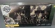 2015 TRUE HEROES SENTINEL 1 TROOP TRANSPORTER 7 FIGURES TOYS R US NIB 