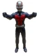 Ant-Man 12 Inch Action Figure Hasbro Marvel Avengers Titan Hero Series 2015 12"