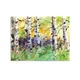 Demdaco Dean Crouser 500 Piece Spring Trees 18x24", Puzzle In Gift Box