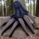 Jurassic World Park Dominion Therizinosaurus Dinosaur Claws Set 2020