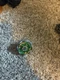 Death Quetzalcoatl 125 RDF BB-119 Beyblade Metal Fight 4D Takara Tomy Authentic