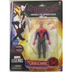 Hasbro Marvel Legends Spider-Man Across The Spider-Verse Peter B. Parker Figure
