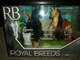 Royal Breeds Lanard Black Friesian and Buckskin Morgan Family Champion Horses 