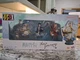 Bandai Namco Frieren Beyond Journey's End Thier Journey