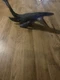 Mattel FNG24 Jurassic World Real Feel Mosasaurus 2018