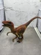 Adventure Force VELOCIRAPTOR Dinosaur Figure Realistic Walmart WM84495