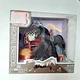 Lanard Toys Royal Breeds Black Friesian Horses 85105 Play Set NEW