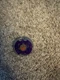 Earth Aquila / Eagle 145WD BB-47 Beyblade Metal Fight Takara Tomy #B1