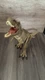 Mattel Jurassic World Roaring Moving Electronic Tyrannosaurus Rex Figure 21&rdquo;