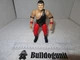 1997 Jerry King Lawler Wrestler Figure Red Black WWF Jakks Pacific Wrestling WWE