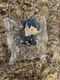 Takara Tomy Arts Twinchees Chainsaw Man Aki Hayakawa Chubby Chubby Figure