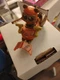 Star Wars Disney Doorables Galactic Cruisers Wicket Warrick