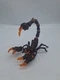 Schleich Eldrador Creatures Lava Scorpion Action Figure D-73527 World of Fantasy