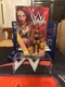 WWE Mattel NXT Sasha Banks Action Figure Basic Series Mattel 2015 New Sealed