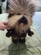 Lego Star Wars Chewbacca 13" Plush Character